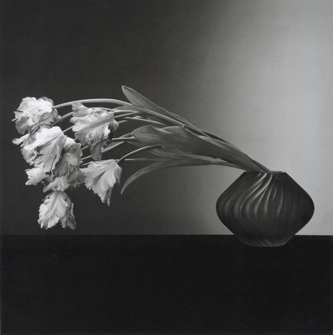 ROBERT MAPPLETHORPE - Parrot Tulips, 1988 (1 of 1)