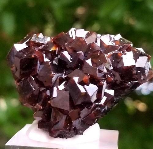 Top Quality Quartz Crystals Cluster - 388 Grams - 15X9.5X6.5 mm (1 of 5)