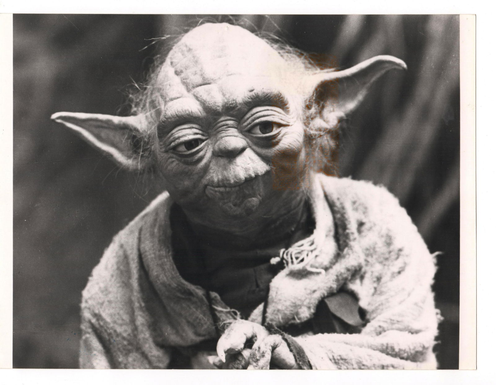 Vintage Photo - Celebrity Photos - Yoda - Frank Oz - Star Wars Continues (1 of 2)