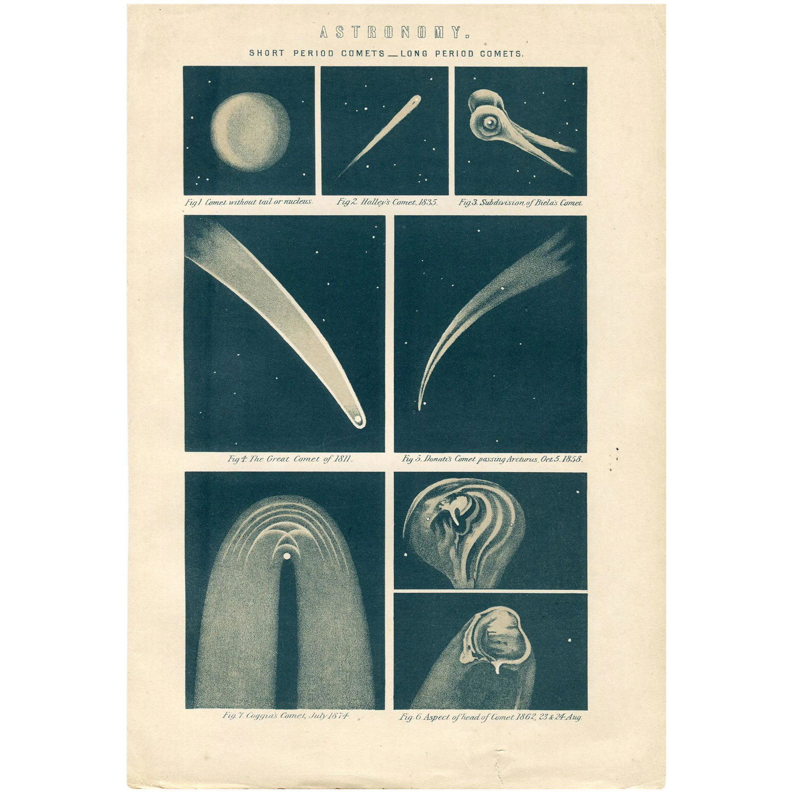 Astronomy antique lithography - Halley's, Biela´s, Donati's, Coggia's Commets - 1880 (1 of 3)