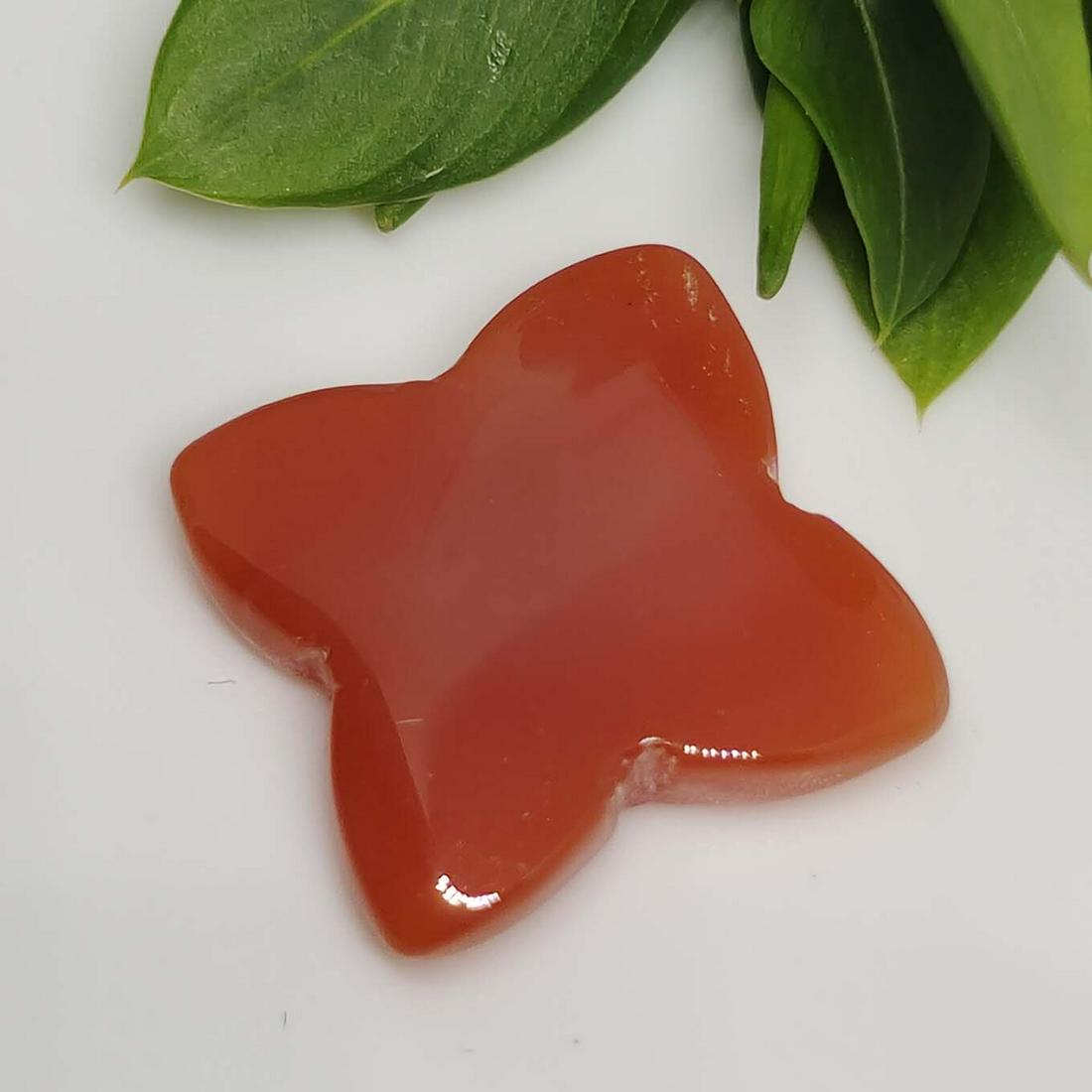 7.80 ct Natural Carnelian Star Cab: No Reserve! Title: 7.80 ct Natural Carnelian Star Cab Additional Information: Gemstones: Carnelian Carat Weights: 7.80 ct Size/Dimensions: 15 X 15 mm Materials & Techniques: Carnelian Shipping: Domest