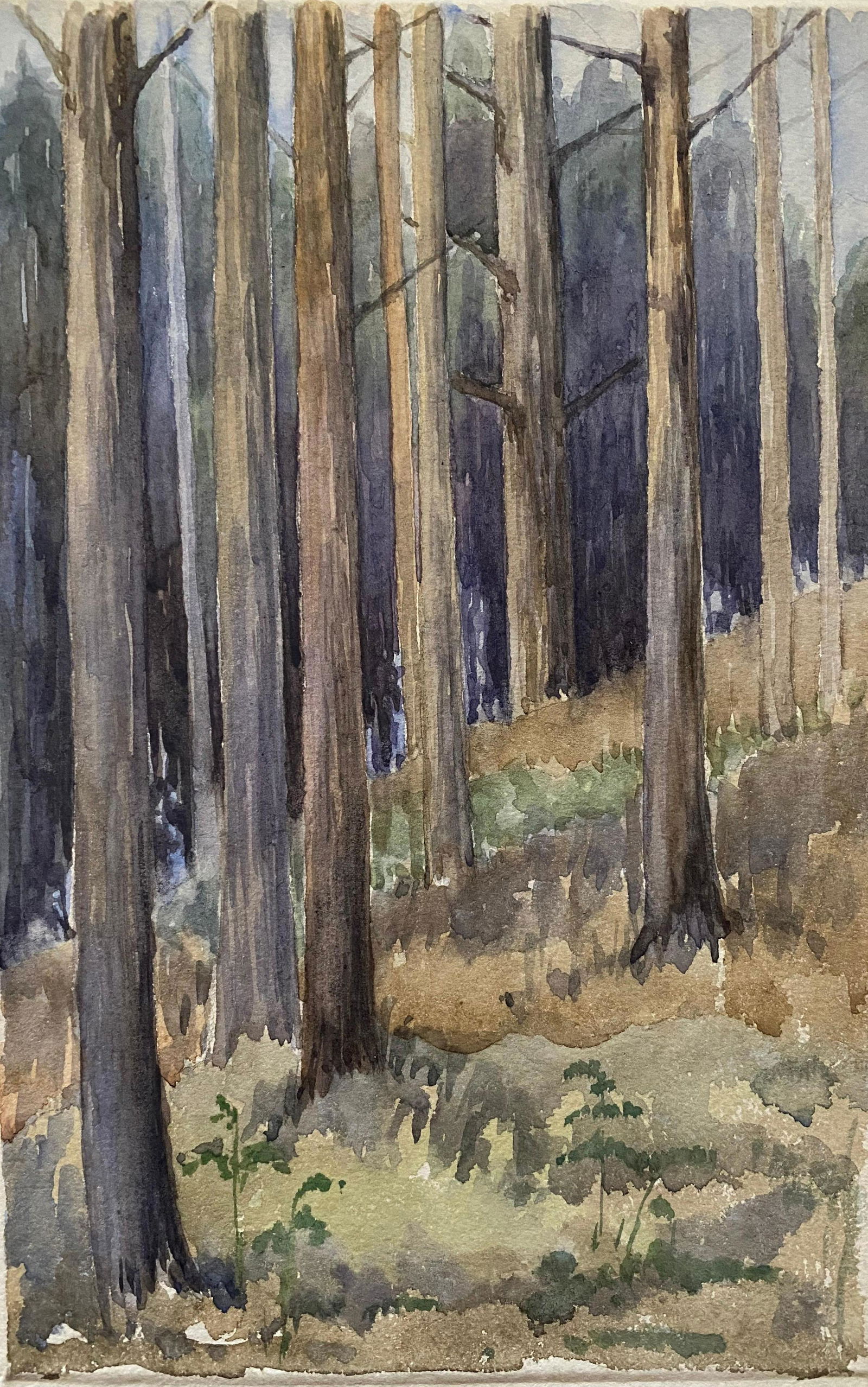 1900's English Impressionist Watercolor Painting Captivating Midnight Forest c. 1900's (1 of 4)