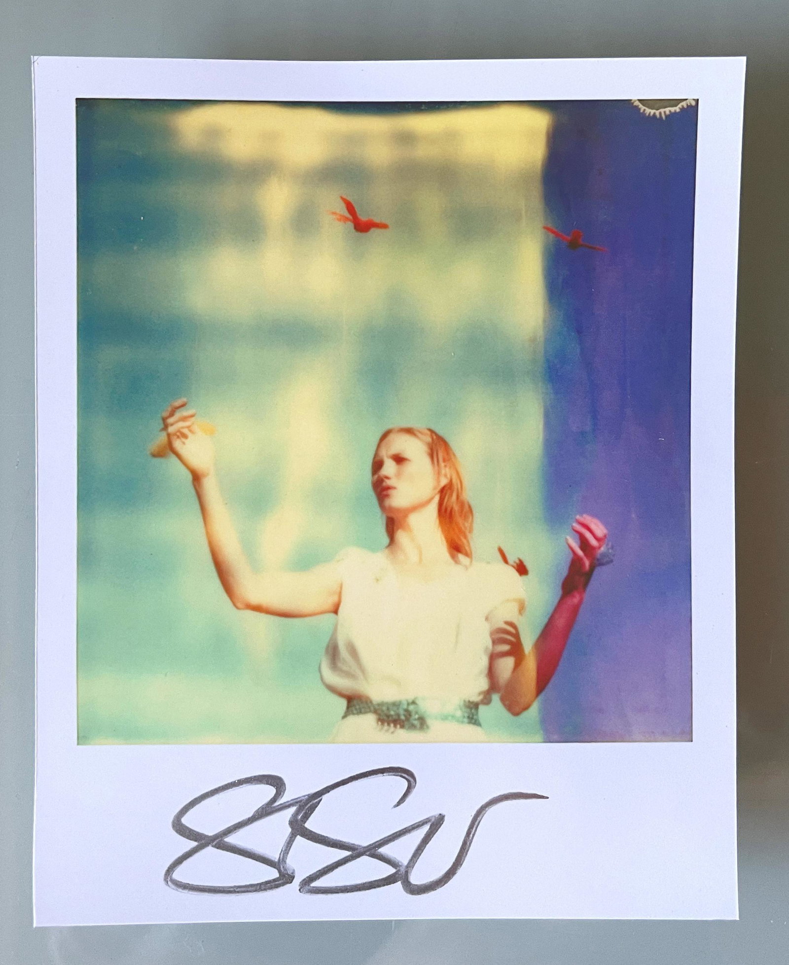Stefanie Schneider Polaroid sized unlimited Mini 'Haley and the Birds' - signed 2013 (1 of 1)