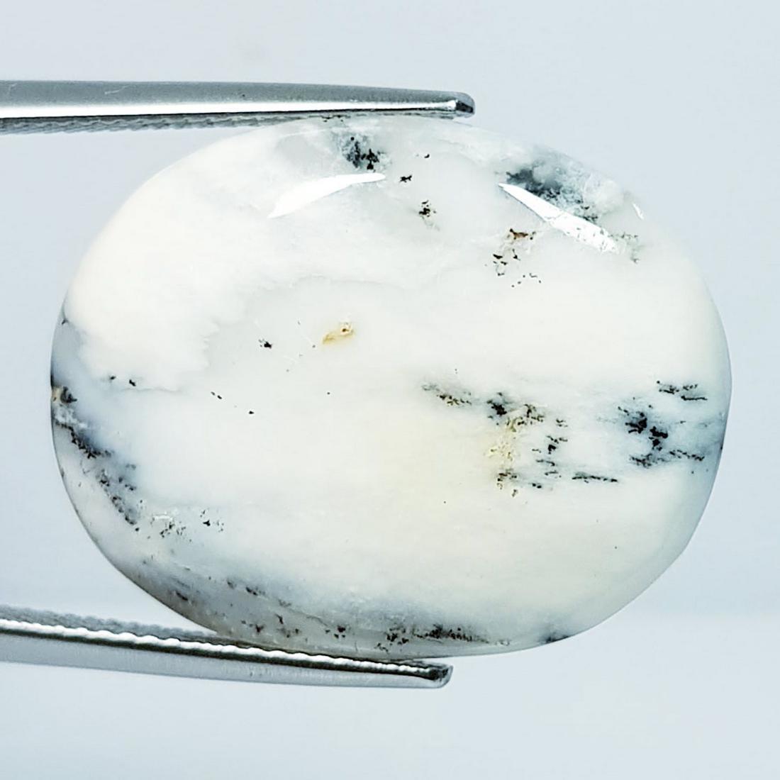 20.13 ctz Natural Dendritic Opal (1 of 4)