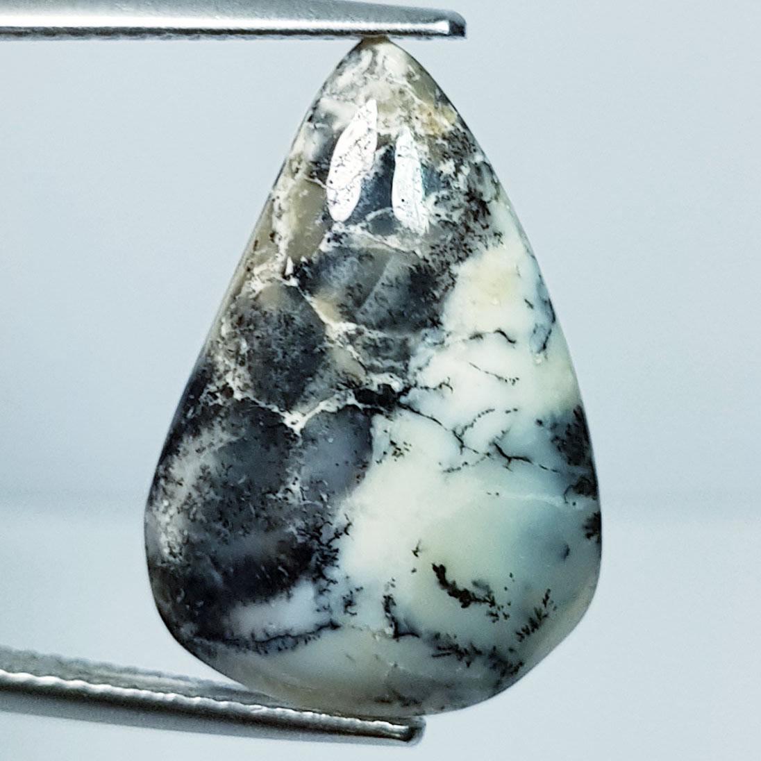 7.94 ctz Natural Dendritic Opal (1 of 4)