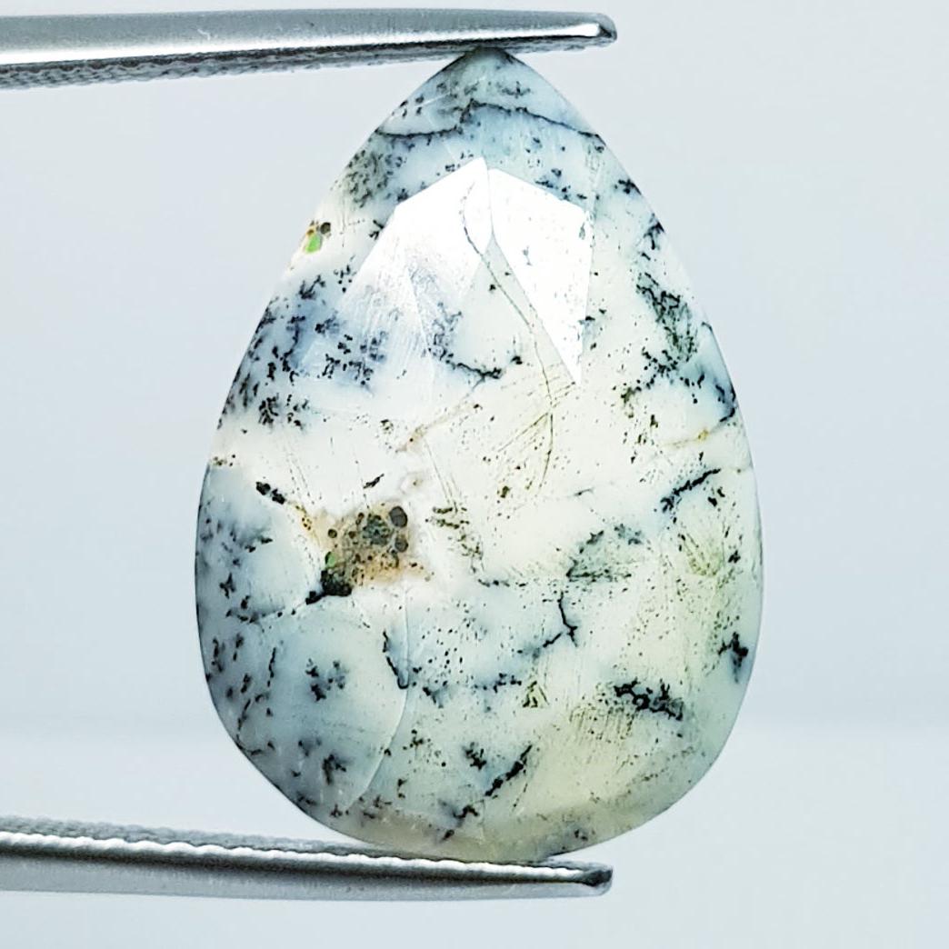 9.07 ctz Natural Dendritic Opal (1 of 4)