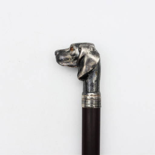 Cane With Silver Applications "dog's Head"