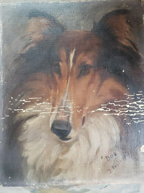 Oil painting collie dog 1930 rough "BOS" J Thomson: Great looking piece in fair condition. Bought a few paintings dating from 1900 to 1950. Measures approximately 10 x 12 " No frame. Shipping charges include insurance. Shipping: Domestic: Flat-rate of 