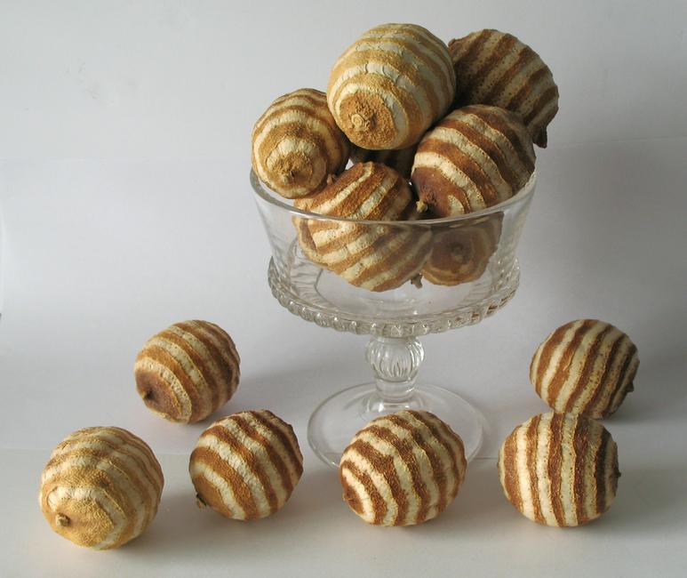 Group of vintage dried lemon Christmas decorations.: Title: Group of vintage dried lemon Christmas decorations. Circa: 1960's Dimension: life size Additional Information: Nice group of vintage real dried lemon Christmas decorations, does not include the