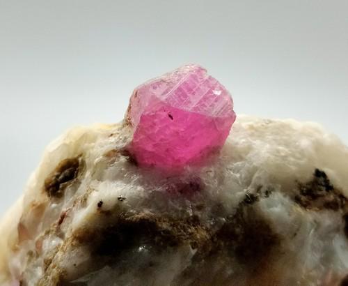 30 Gram Fabulous Rare Natural Huge Ruby Crystal On Matrix Specimen (1 of 6)