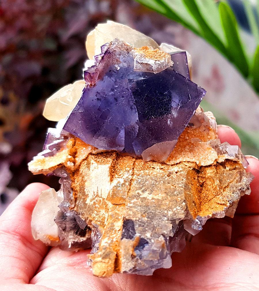 Phantom Cubic Fluorite Crystals With Calcite Spray - 208 Gram (1 of 7)