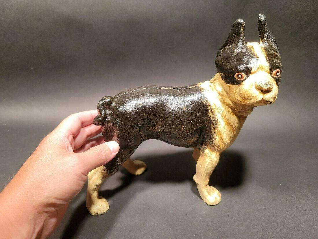 Cast Iron Boston Terrier Dog Door Stop Coin Bank: 9" Long x 9 1/2" Tall Great little reproduction cast iron boston terrier dog. All cast iron hand painted, slightly distressed as shown in the images. Certainly looks old! See our other miniature cast