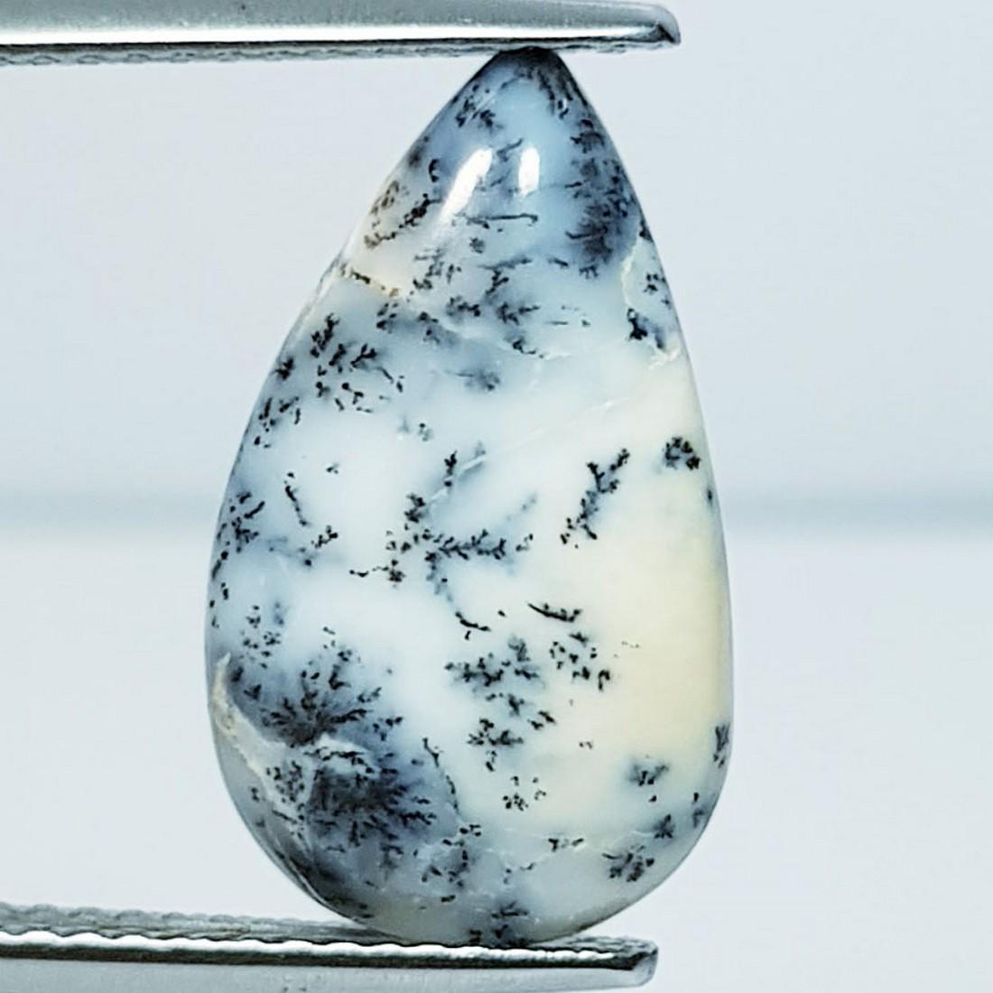 3.99 ctz " Fine Collection" Narural Dendritic opal (1 of 4)