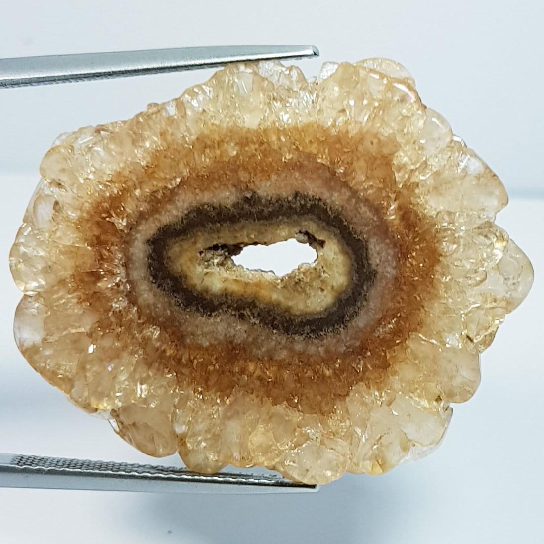 38.41 ctz" Fine Collection NaturalBrown Solar Fossile (1 of 4)