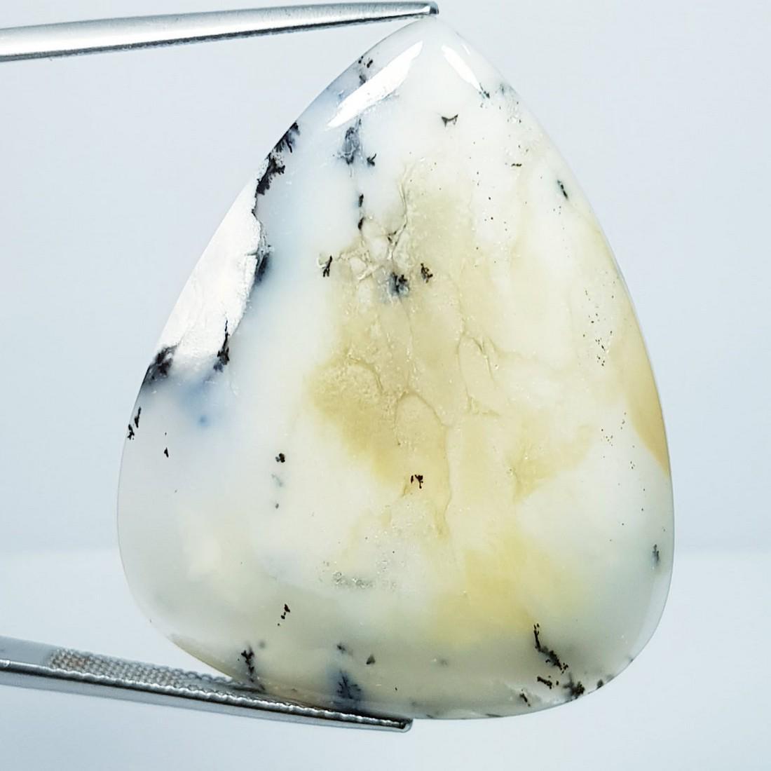 48.30 ctz " Fine Collection" Narural Dendritic opal (1 of 4)