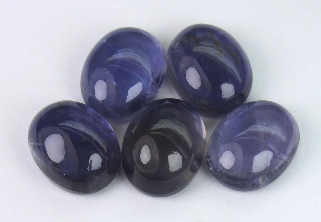 7.17 cts Natural Iolite Lot: No Reserve! Gemstone: Natural Iolite Shape and cut: Oval Cabochon Weight: 7.17 carats Measurements: 8.49x6.49x40.14 mm - 8.20x6.52x4.02 mm Color: Violite Number Of Stone: 5 Transparency: Transparent T