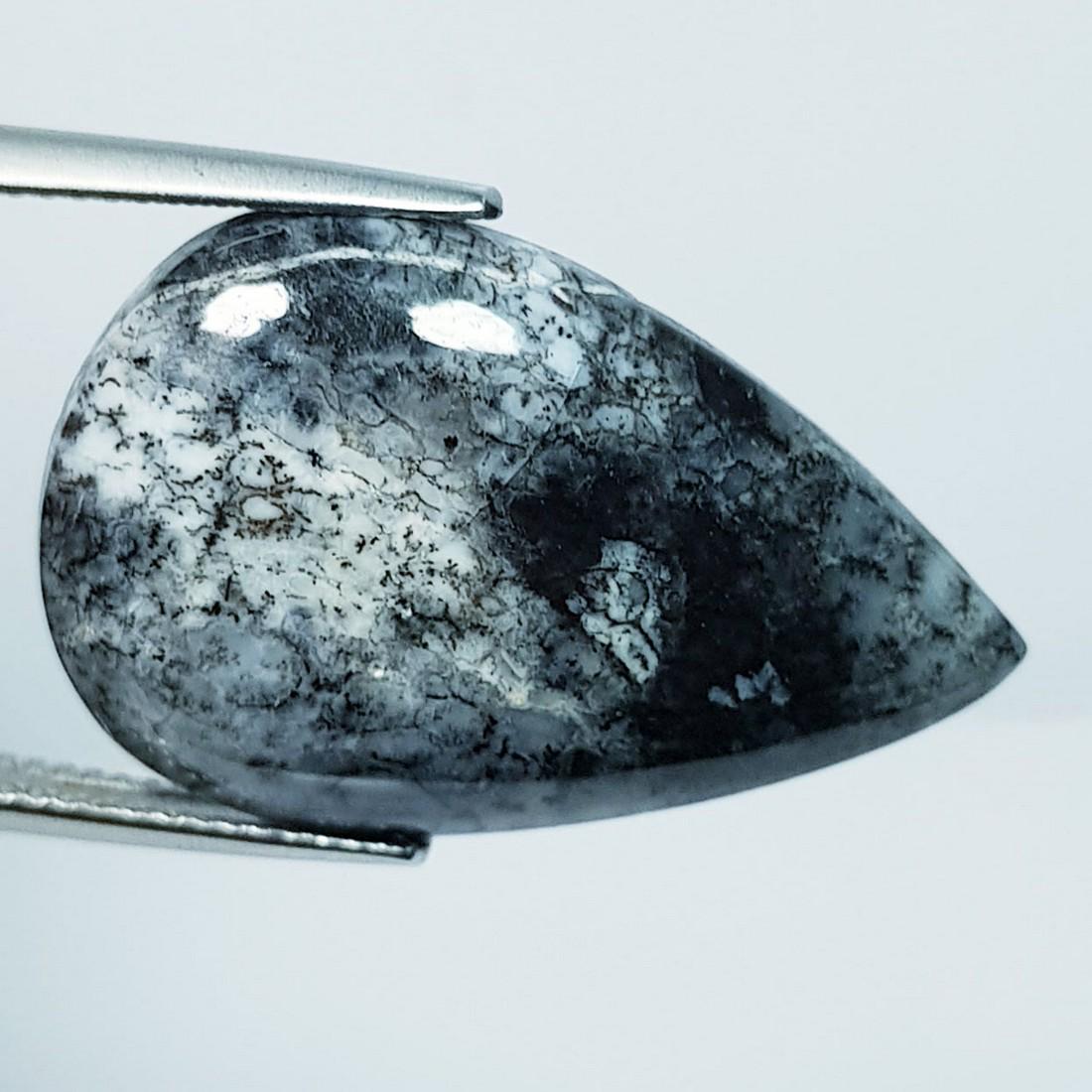 18.28 ctz " Fine Collection" Narural Dendritic opal (1 of 4)