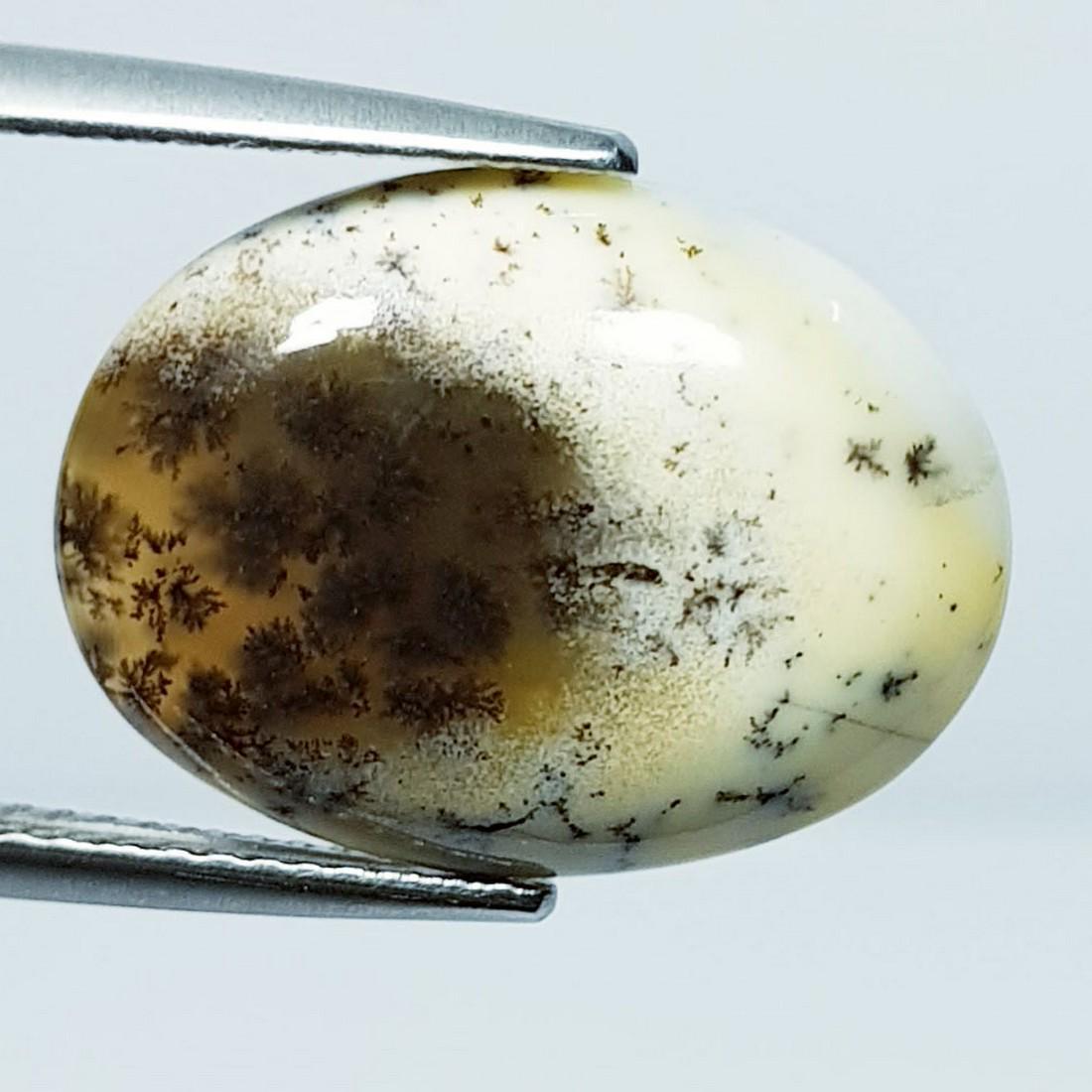 7.76 ctz " Fine Collection" Narural Dendritic opal (1 of 4)