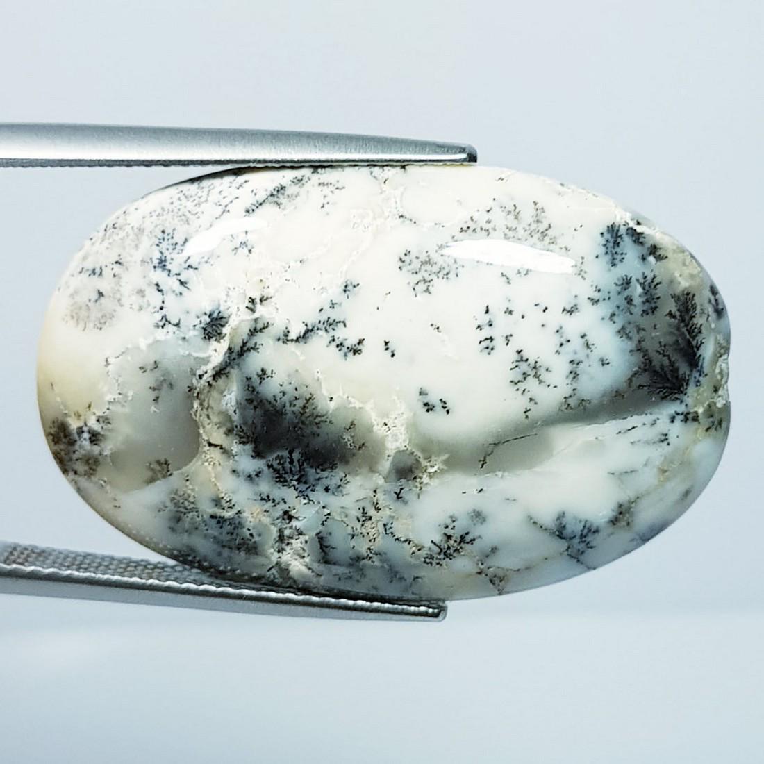 30.95 ctz " Fine Collection" Narural Dendritic opal (1 of 4)