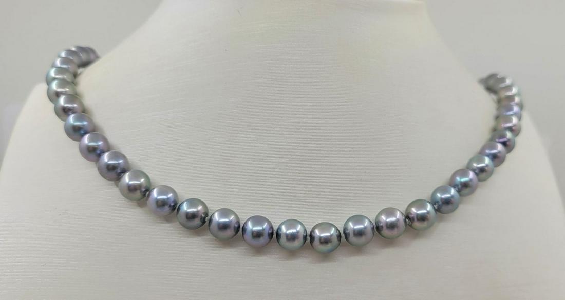 7x7.5mm AAA Quality Silvery Akoya pearls - Necklace (1 of 13)