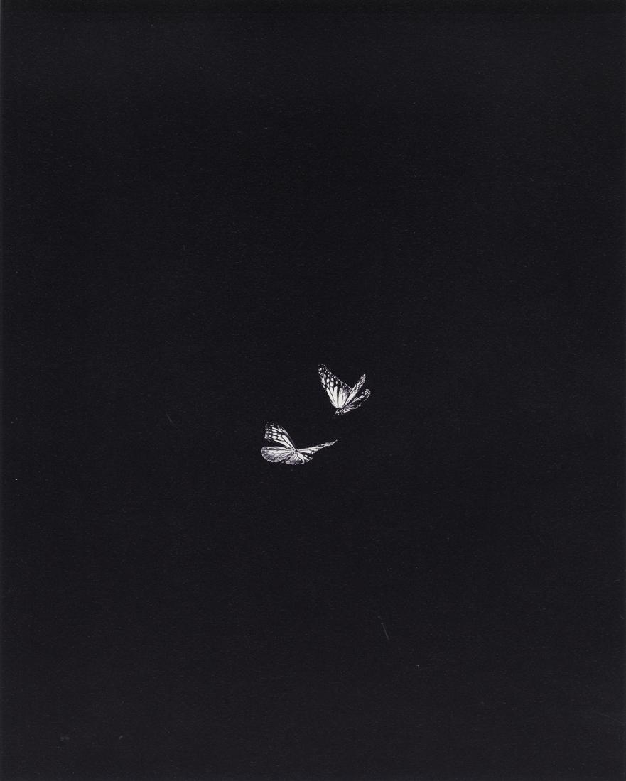 J. JOHN PRIOLA - Butterflies, 1997: Artist: J. John Priola Title: Butterflies, 1997 Medium: Photo Litho, 1999, Germany Dimensions: 8.5x10.6" Description: Heat Wax Mounted on 11x14" Conservation Board Reserve: $40 Shipping: Domestic: Fla