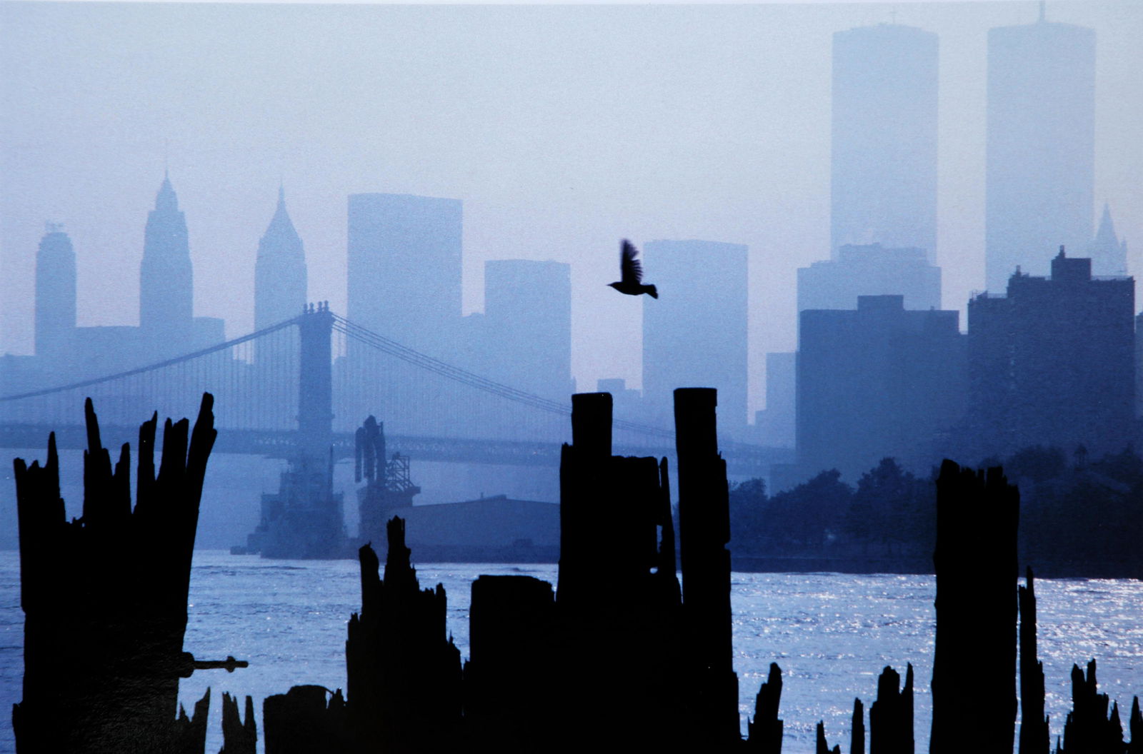 Thomas Hoepker: Skyline New York, 1983 (1 of 1)