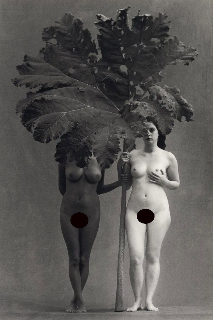 FLOR GARDUNO - Eden, Switzerland, 2001: Artist: Flor Garduno Title: Eden, Switzerland, 2001 Medium: Photo Litho, 2002, Switzerland Dimensions: 7x10.5" Description: Heat Wax Mounted on 11x14" Conservation Board Artist Bio: Flor de MarÃ­a G