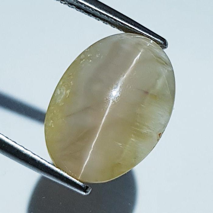 8.62 ctz" Collective Gem " Natural Opal Cat's Eye (1 of 4)