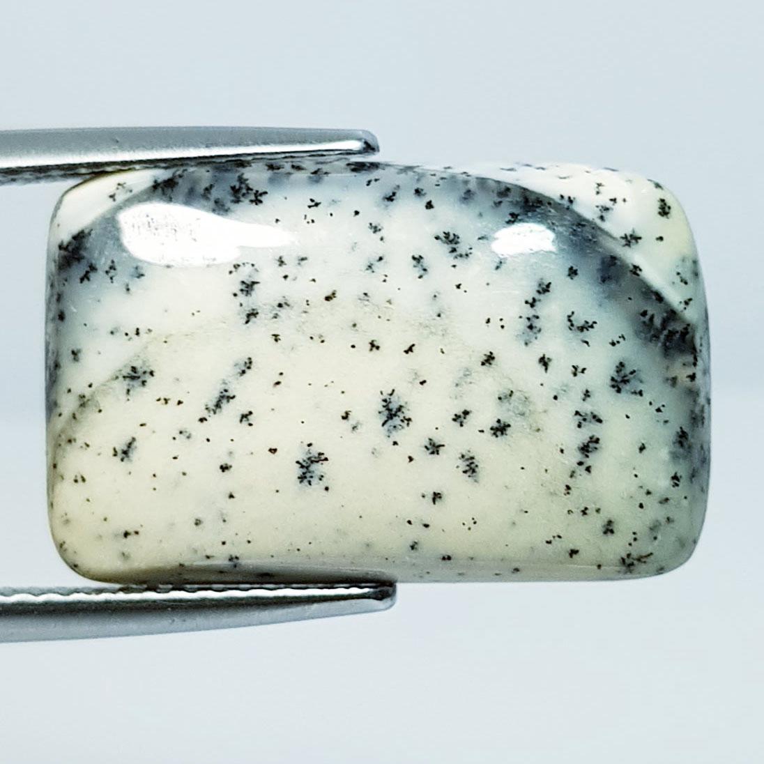 12.00 ctz " Fine Collection" Narural Dendritic opal (1 of 4)