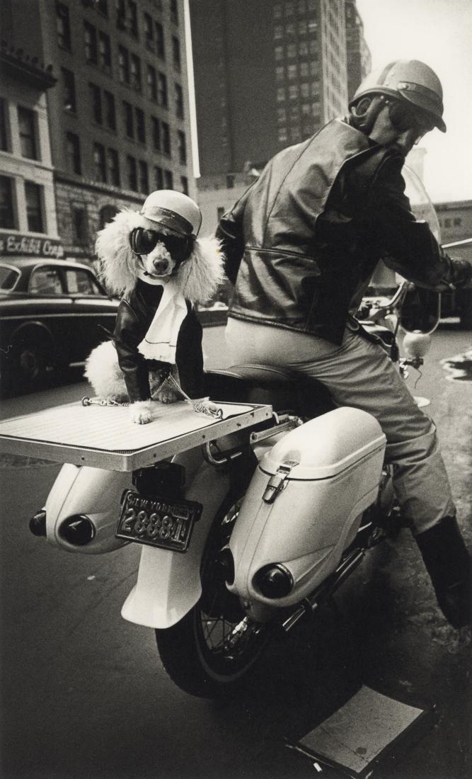 STEVE SCHAPIRO - Motocyclist And Poodle, NY, 1964: Artist: Steve Schapiro Title: Motocyclist And Poodle, New York, 1964 Medium: Photo Litho, 2000, Italy Dimensions: 5.6x9.2" Description: Heat Wax Mounted on 8.5x11" Conservation Board Artist Bio: Steve
