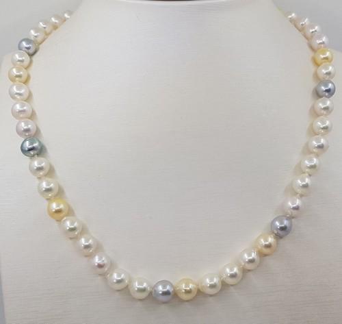 7.5x8mm Multi Akoya And Golden Pearls - 925 Silver - Necklace (1 of 10)