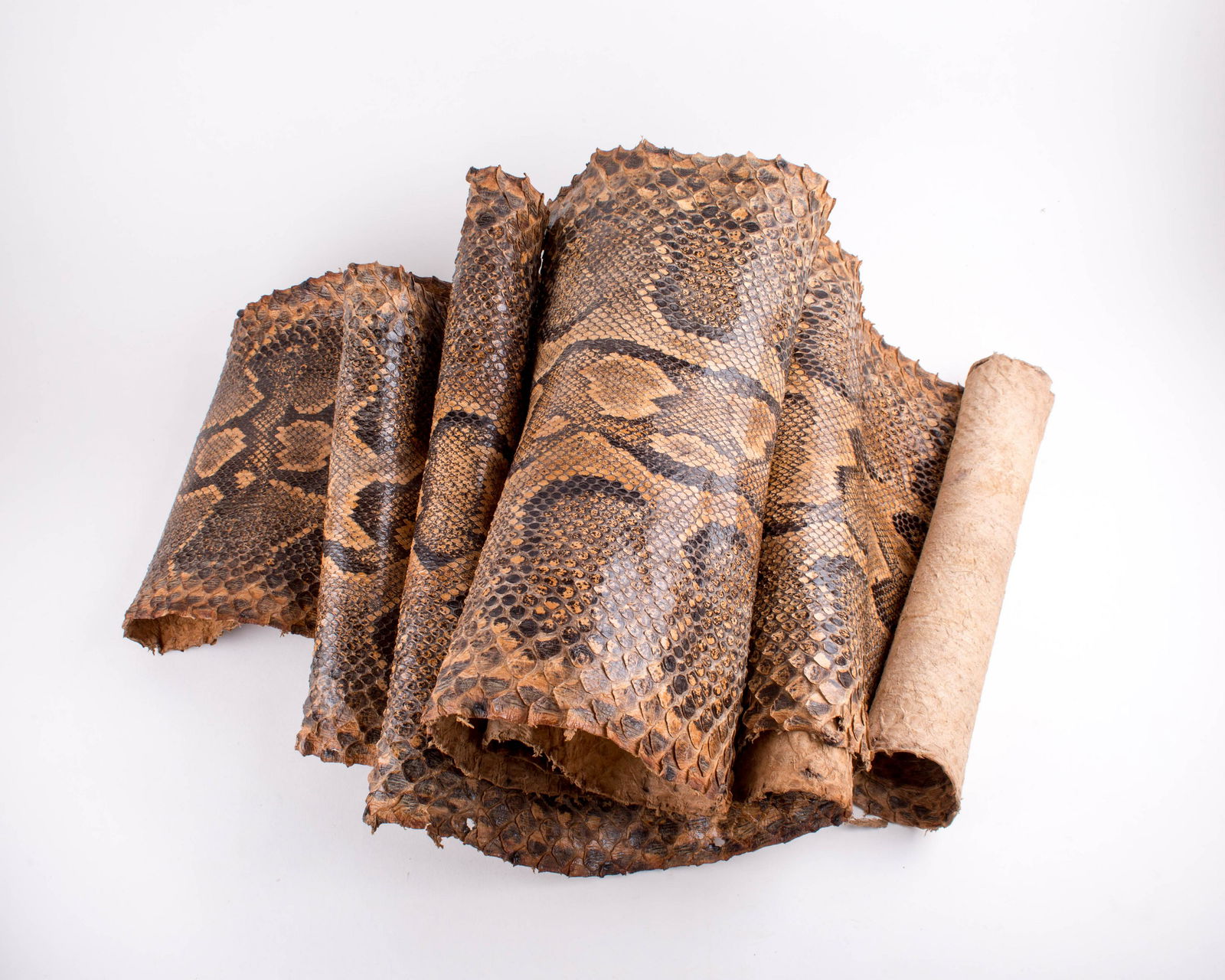 Vintage African python snake Skin hide (1 of 5)