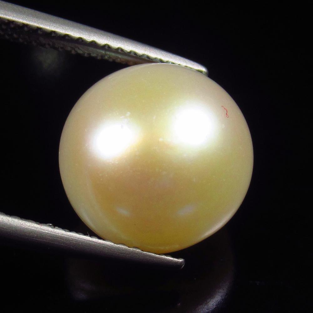 Natural Fresh Water Pearl - 9.54 Ct: No Reserve! Title: Natural Fresh Water Pearl - 9.54 Ct Origin: India Weight: 9.54 Size/Dimensions: 12.5 x 12.5 x 9.2 mm Additional Information: Pieces : 1 No's / Shape : Round Drilled / Color : White 