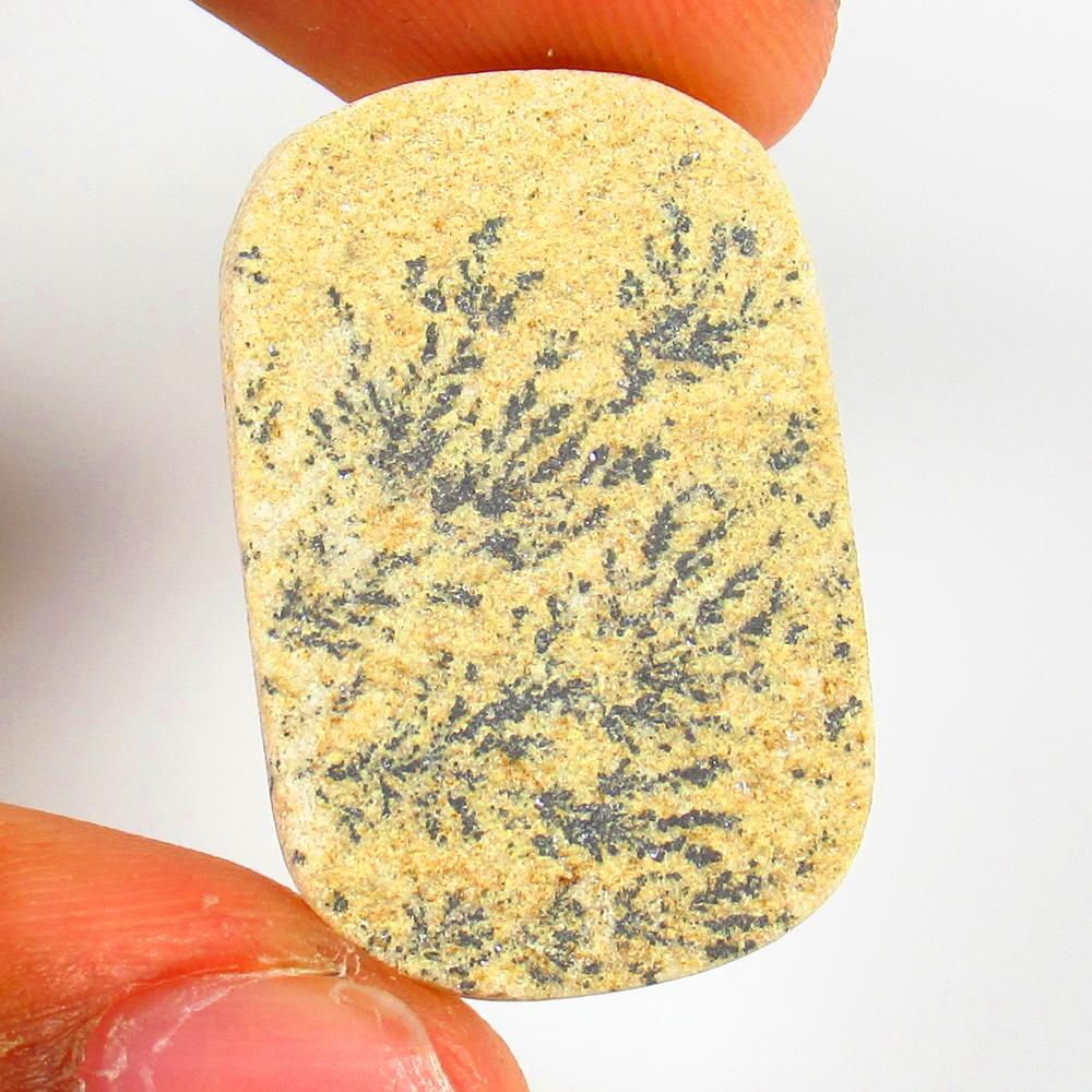 Natural Jasper Quartz - 18.58 Ct: No Reserve! Title: Natural Jasper Quartz - 18.58 Ct Origin: Brazil Weight: 18.58 Size/Dimensions: 28.0 x 19.0 x 5.0 mm Additional Information: Pieces : 1 No's / Shape : Cushion Cabochon / Color : Whit