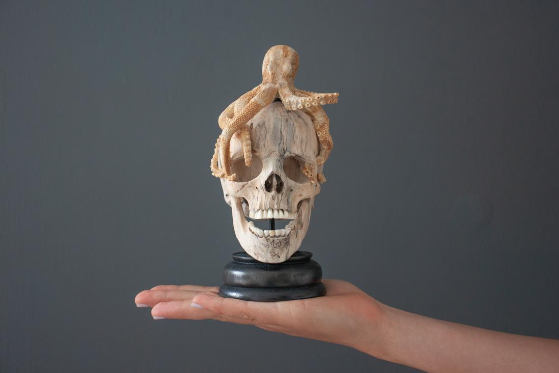 Stunning Human Skull With A Carved octopus: Title: Stunning Human Skull With A Carved octopus Maker: Unknown Origin: Indonesia Date/Period: 2022 Materials: Tamarind Wood, Deer antler, bone Dimensions:Height: 21 cm / 8.2 inches Width: 9 cm / 3.5