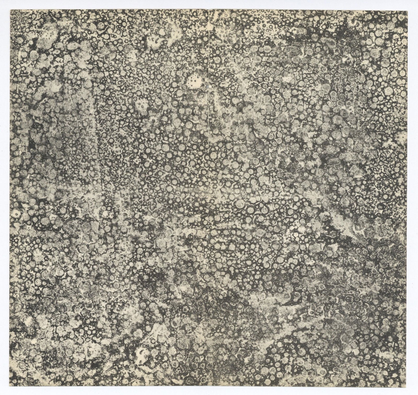 Jean Dubuffet pochoir "Mycelium" (1 of 1)