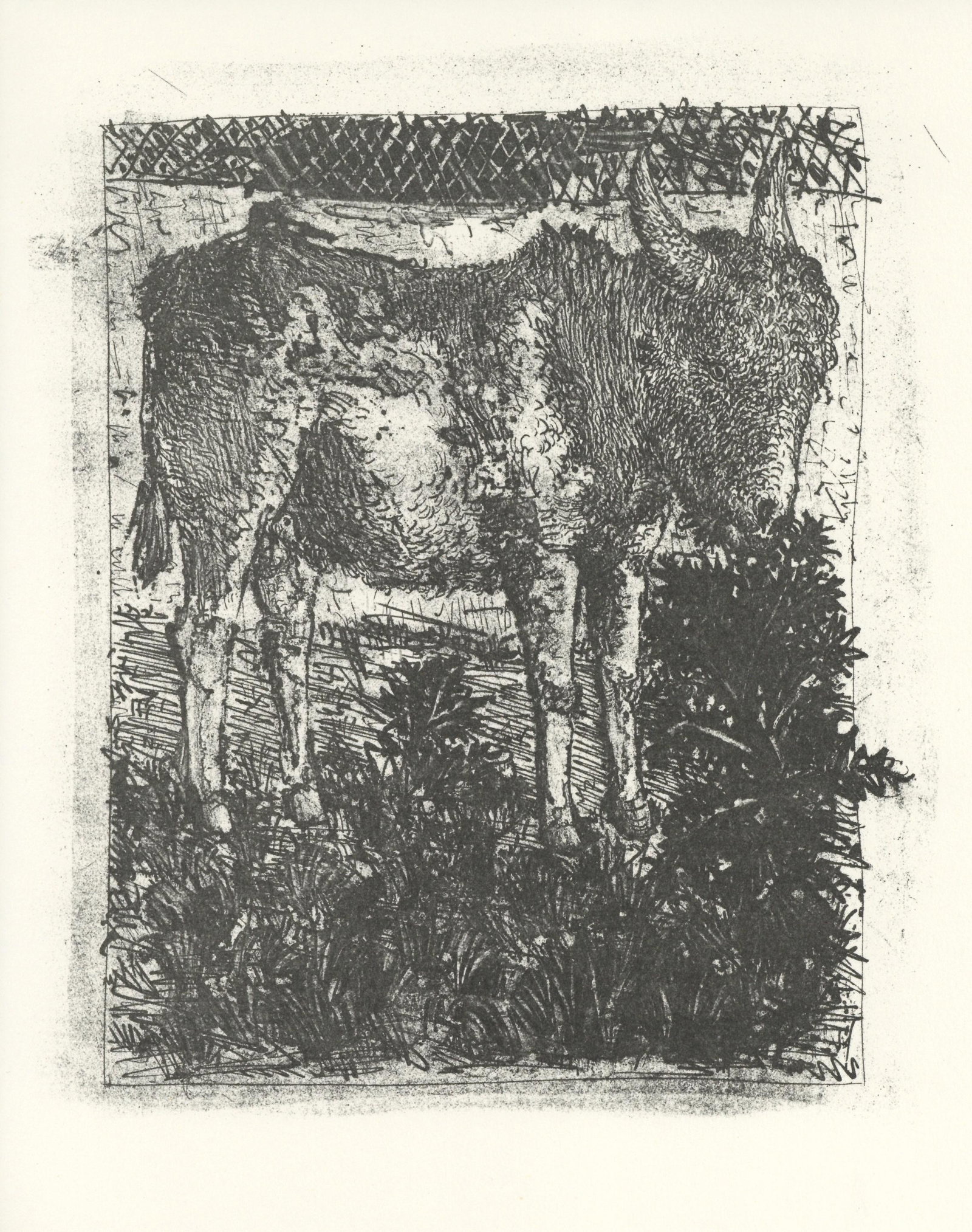 Pablo Picasso "L'Ane" The Donkey | Buffon: Medium: offset lithograph (after the etching). Printed on velin bouffant paper from the Papeteries Casteljoux and published in France by Edito-Service Geneve c. 1970. This reproduces one of the famous