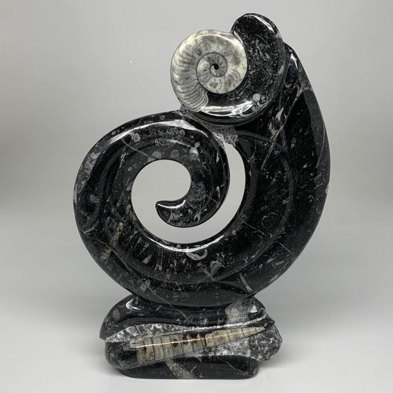 Fossils Ammonite statue natural stone mineral sculpture (1 of 5)