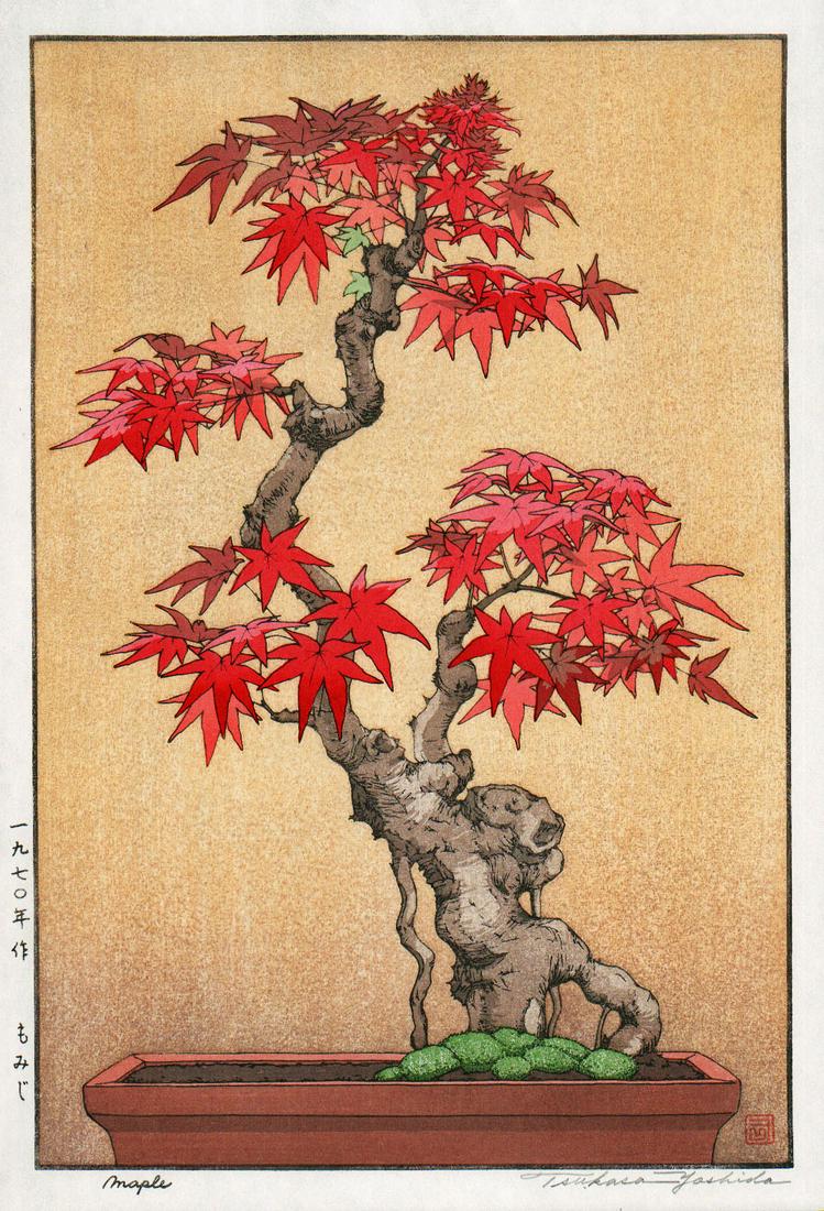 Tsukasa Yoshida (B. - 1949): Maple: Artist/Title: Tsukasa Yoshida (B. - 1949): Maple Medium: Woodblock Print Size/Format: The print image measures 9 3/4 X 14 1/2 inches plus margins Condition: The print is in excellent, never framed con