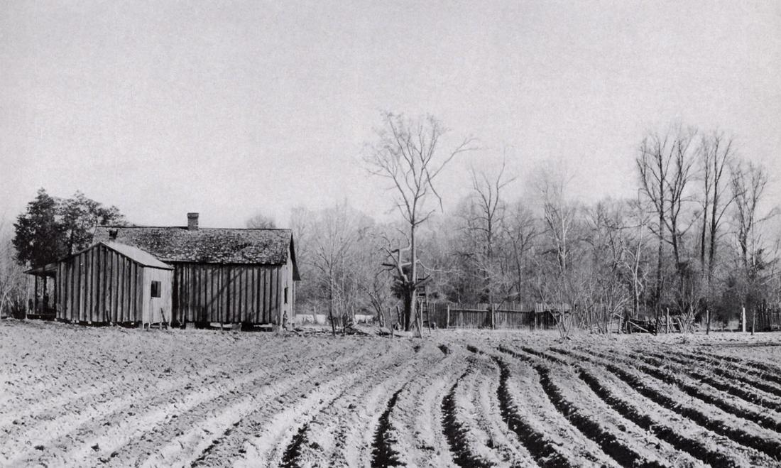 WALKER EVANS - Mississippi Land, 1936: Artist: WALKER EVANS Print Title: Mississippi Land, 1936 Printing Date: 1930’s Medium: Vintage Authentic Photoengraving Printed in: the USA Image Size approx: 4.25 x 7” Walker Evans(1903&#