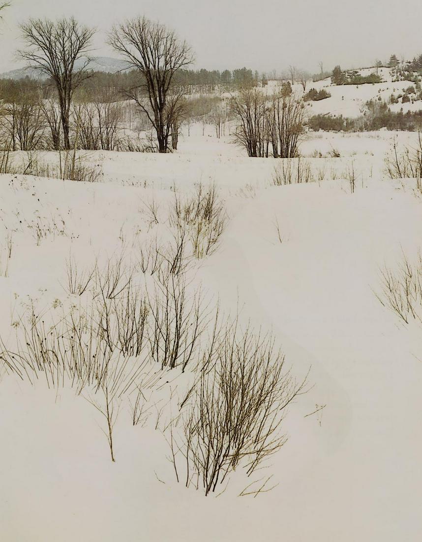 ELLIOT PORTER - Winter (1 of 1)