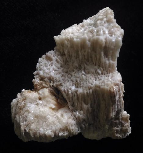 CORAL FOSSIL: Title: CORAL FOSSIL Origin: Panglao, Bohol, Visayas, Philippines Size: 5x4x3 cm / 65 gram Description: calcite crystals replacing fossil corals Reserve: $15.00 Shipping: Domestic: Flat-rate of $15.00