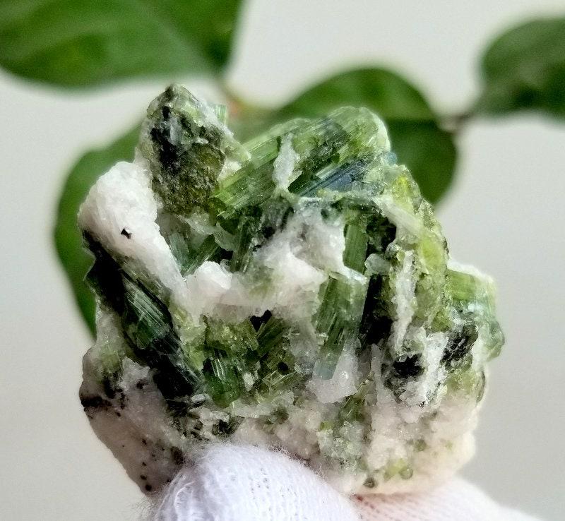 21 Grams Beautiful Natural Green Tourmaline Bunch Cystals Specimen From Afghanistan (1 of 7)