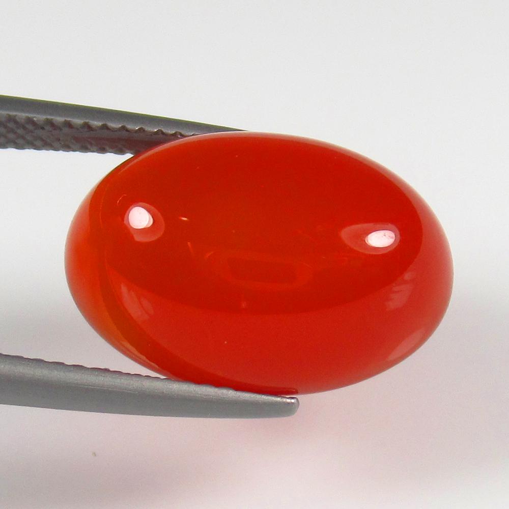 Natural Carnelian - 11.86 Ct: No Reserve! Title: Natural Carnelian - 11.86 Ct Origin: Brazil Weight: 11.86 Size/Dimensions: 18.0 x 13.0 x 7.0 mm Additional Information: Pieces : 1 No's / Shape : Oval Cab / Color : Orange / Clarity