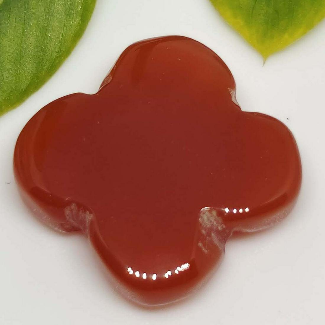 9 ct Natural Carnelian Star Cab: No Reserve! Title: 9 ct Natural Carnelian Star Cab Additional Information: Gemstones: Carnelian Carat Weights: 9 ct Size/Dimensions: 15 X 15 mm Materials & Techniques: Carnelian Shipping: Domestic: Fl