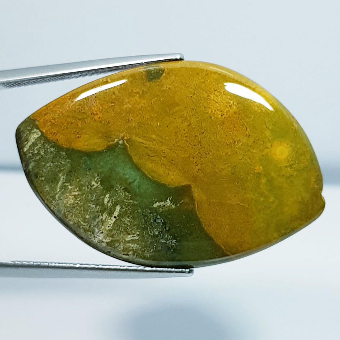 34.77 ctz Natural Occean Jasper: No Reserve! Title: 34.77 ctz Natural Occean Jasper Color/Clarity: Yellowish Green / Opaque Gemstones: Jasper Carat Weights: 34.77 Size/Dimensions: 36.60 x 24.40 x 4.80 Additional Information: Fancy /