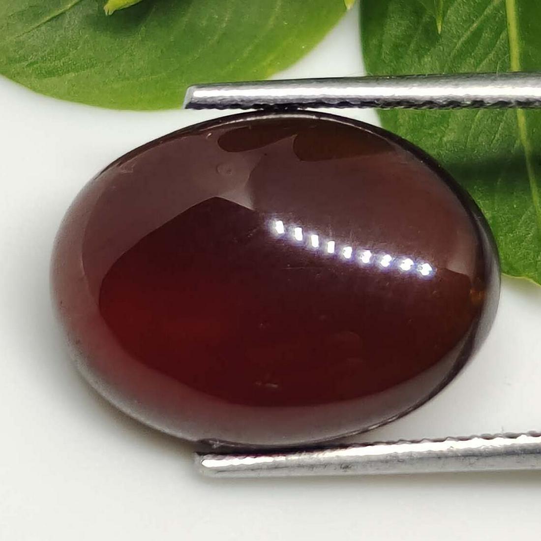 11.15 ct Natural Hessonite Garnet (1 of 1)