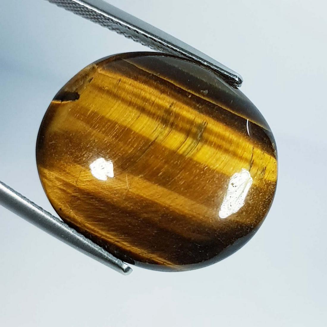 18.85 Ctz Natural Tiger Eye (1 of 4)