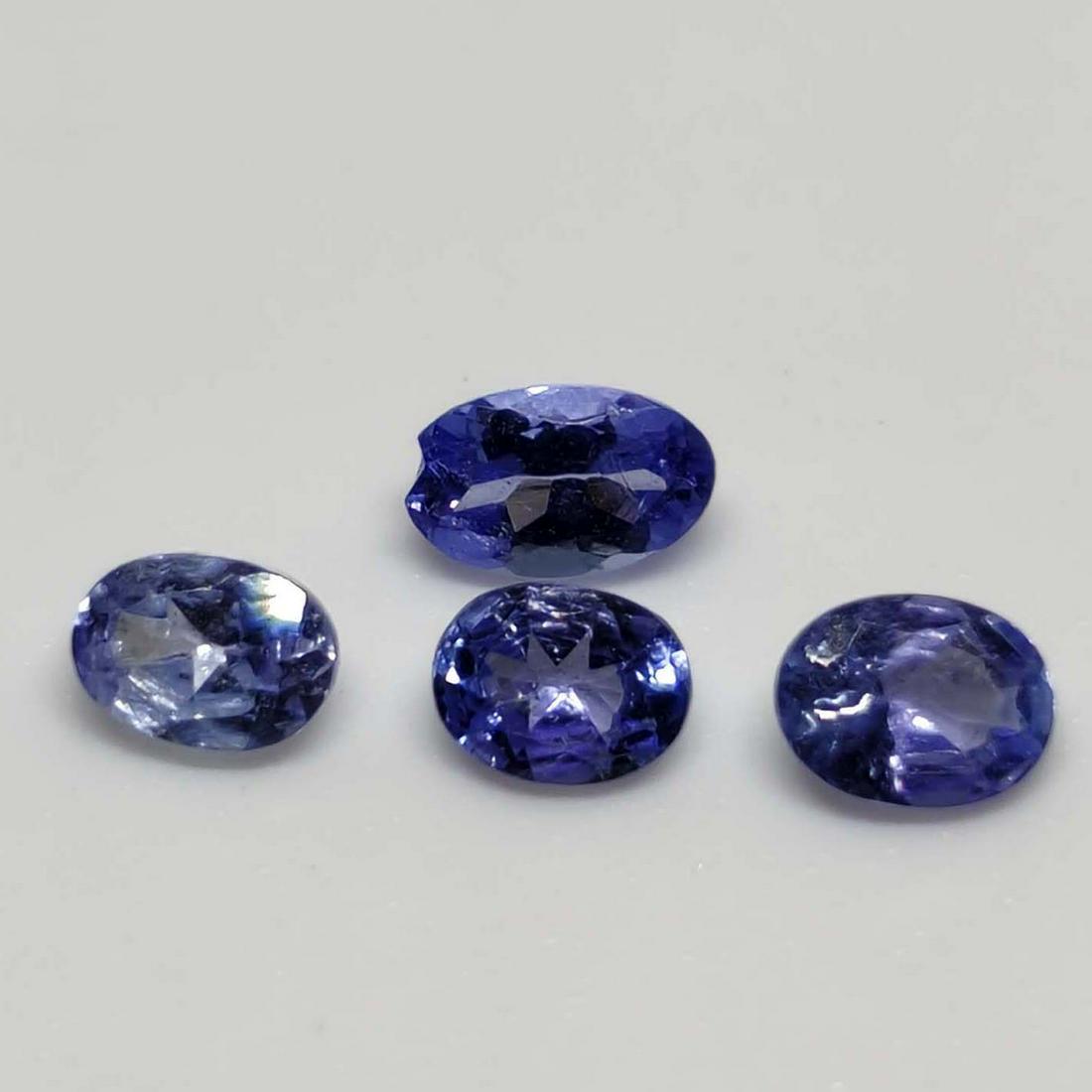 0.90 ct Natural Tanzanite Lot: No Reserve! Title: 0.90 ct Natural Tanzanite Lot Additional Information: Gemstones: Tanzanite Carat Weights: 0.90 ct Size/Dimensions: 3 X 4 mm Materials & Techniques: Tanzanite Shipping: Domestic: Fla