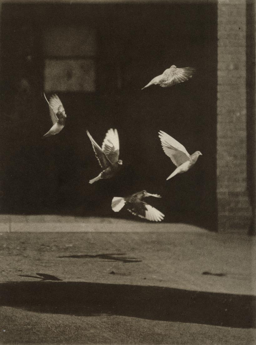 FRANCIS BLAKE - Pigeons in Flight, 1890: Artist: Francis Blake Title: Pigeons in Flight, 1890 Medium: Photo Litho, 1995, USA Dimensions: 5.9x7.95" Description: Heat Wax Mounted on 8.5x11" Conservation Board Reserve: $35.00 Shipping: Domestic
